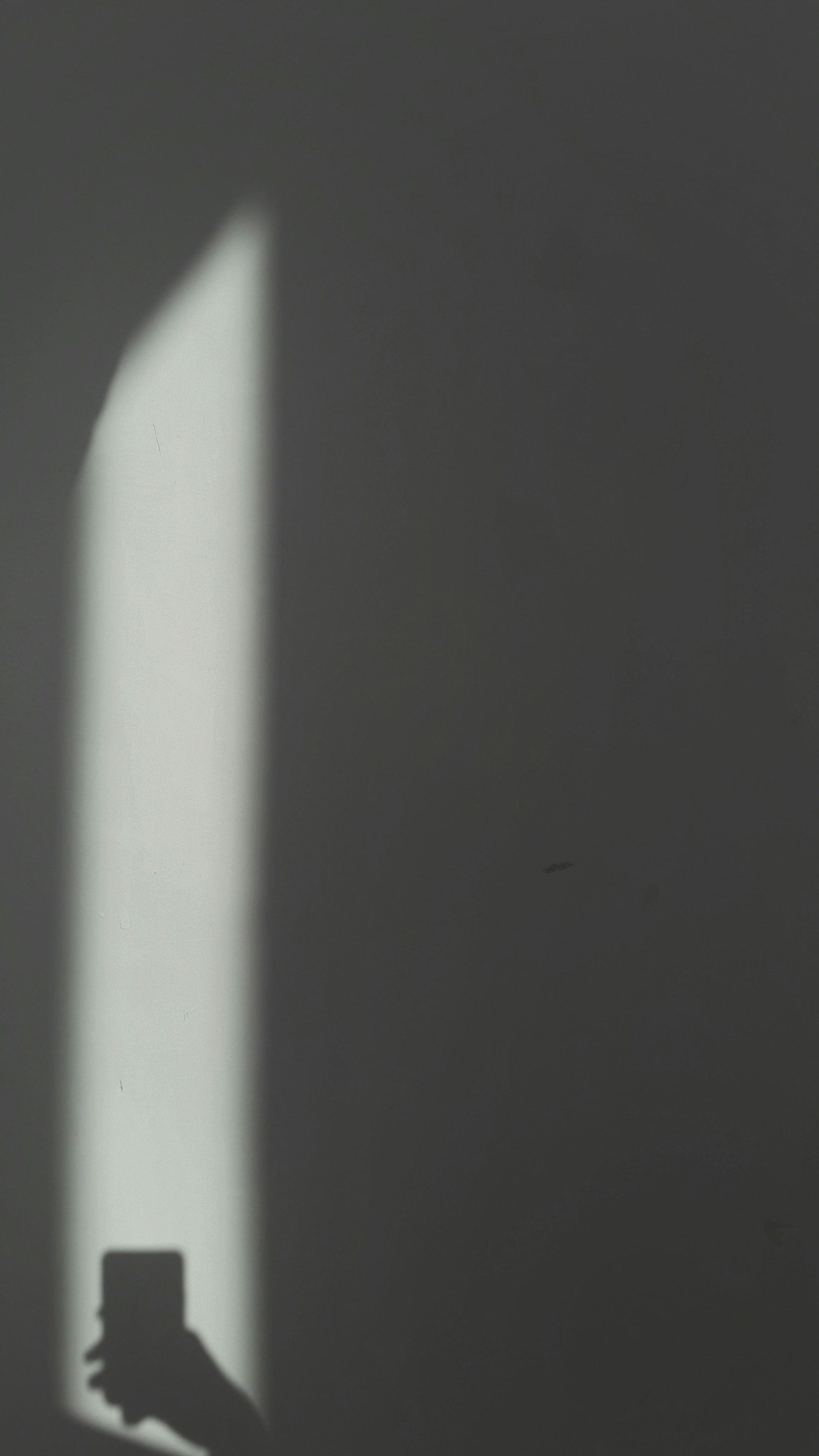 a shadow of a person holding a cell phone